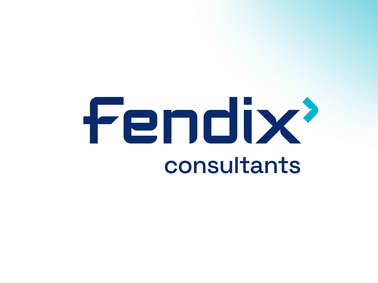 Zo helpt Fendix jou verder met privacy & security