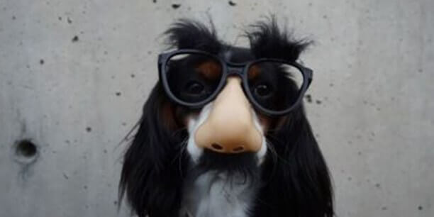 5 Things You Can Do to Protect your Digital Privacy