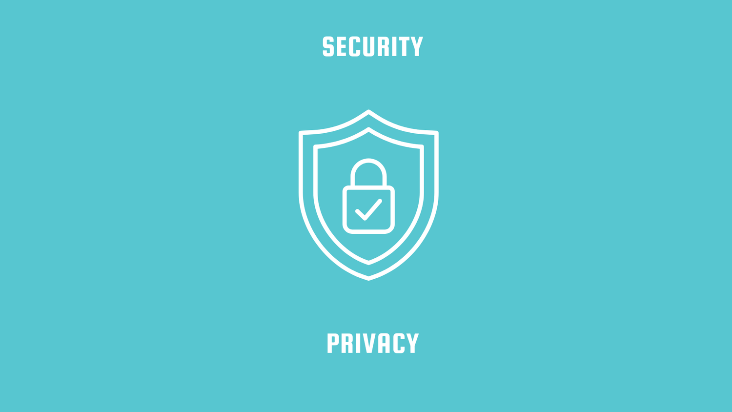 Security vs. privacy company