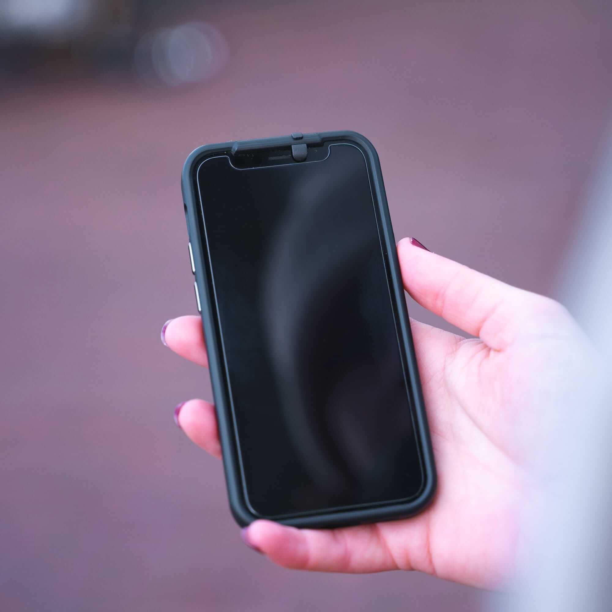 iPhone 12 Pro Max Privatsphäre-Hülle